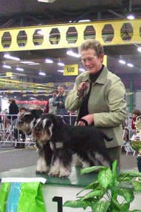 foto van onze honden